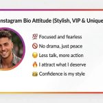 instagram vip bio